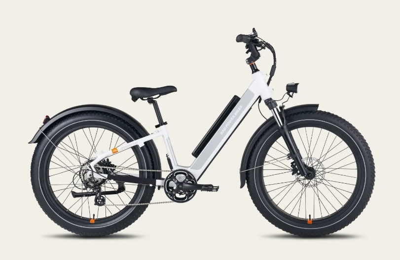 美国电动自行车品牌 Rad Power Bikes 奇葩促销