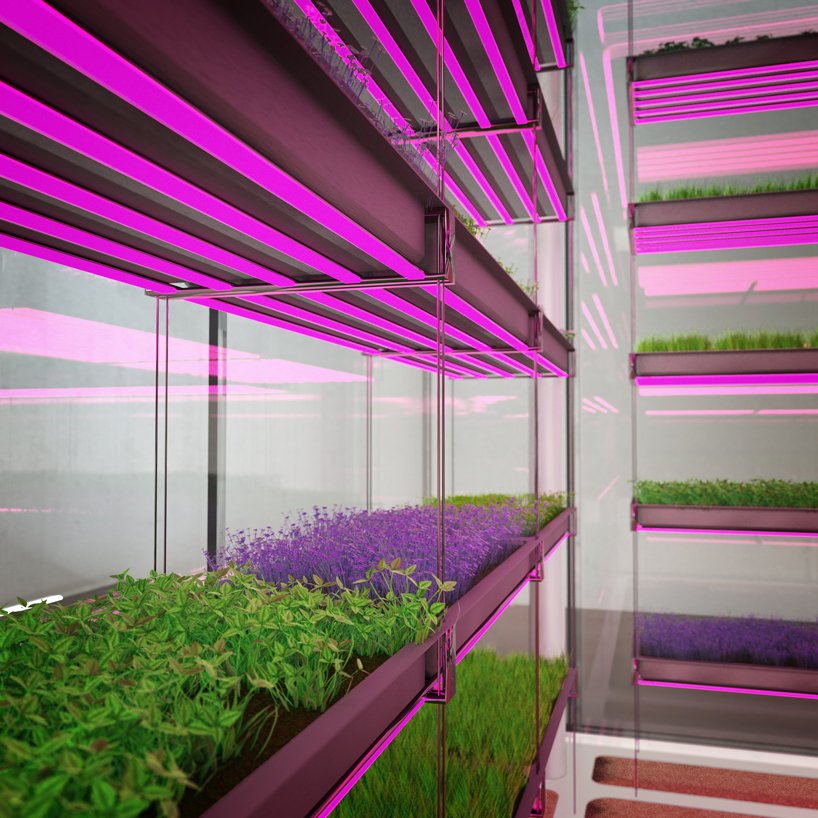 oberhauser 推出微型菜苗专用步入式气候温室