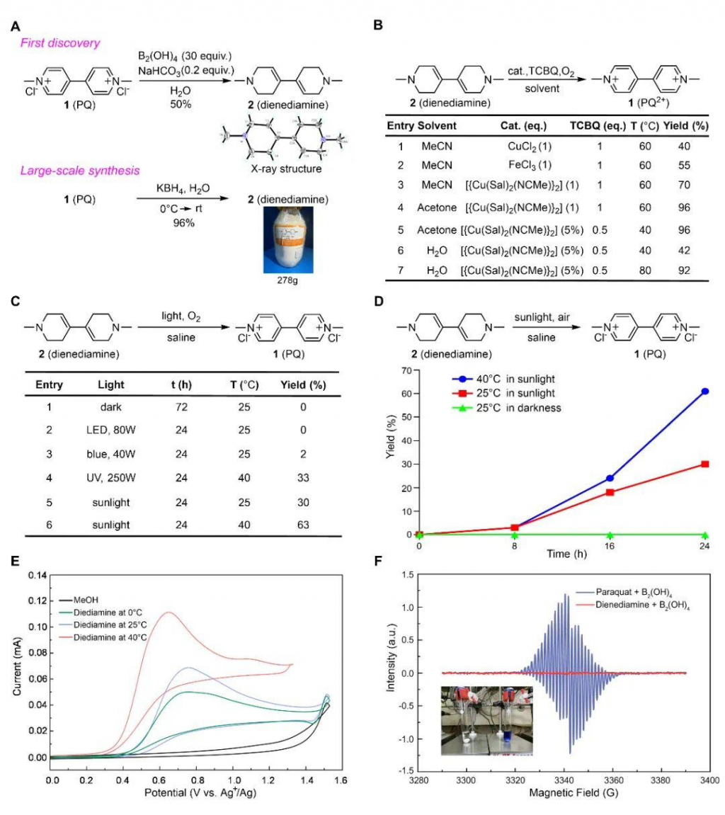 我国新成果-有望替代“百草枯”的安全除草剂