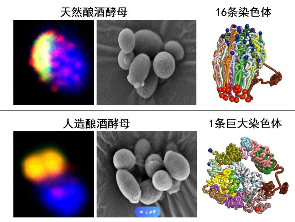全球智库动态 | 未来50项新兴技术