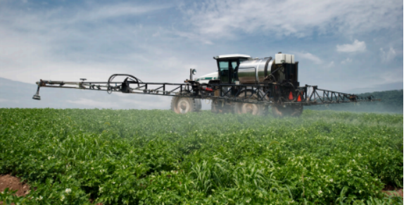 《科学》杂志评出2024年度十大科学突破