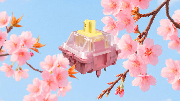 CHERRY樱桃领航智能轴体革命 全系列新一代新品于COMPUTEX 2025震撼首秀